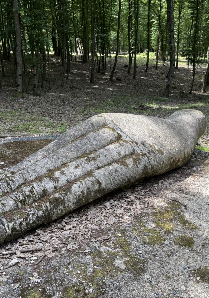 The sculpture park from Căsoaia