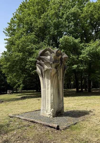 The sculpture park from Căsoaia