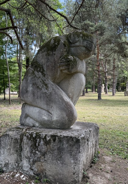 The sculpture park from Căsoaia