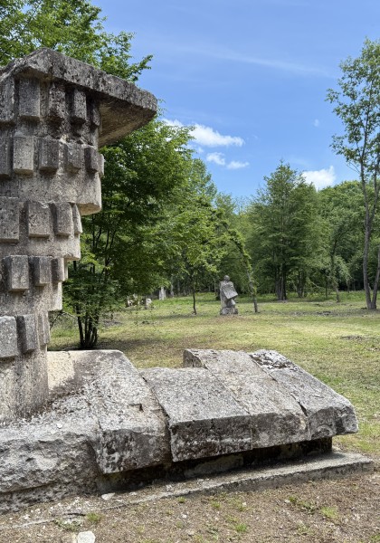 The sculpture park from Căsoaia