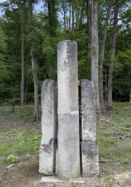 The sculpture park from Căsoaia