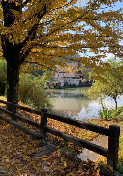 Pensiunea „Lacul liniștit”