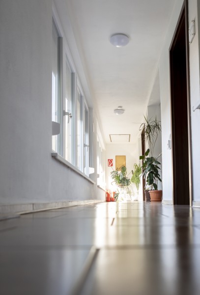 Casa „Flori de Nuc”