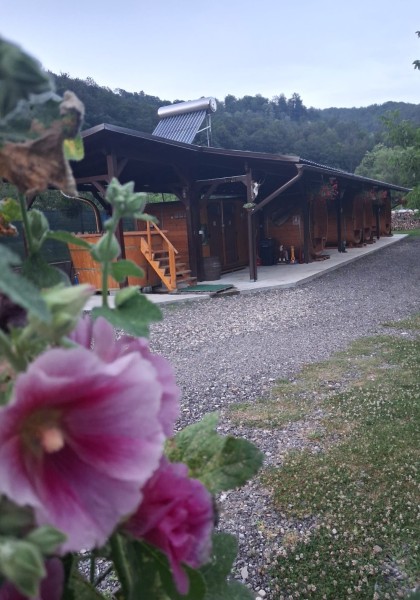 The Hunter's Houses