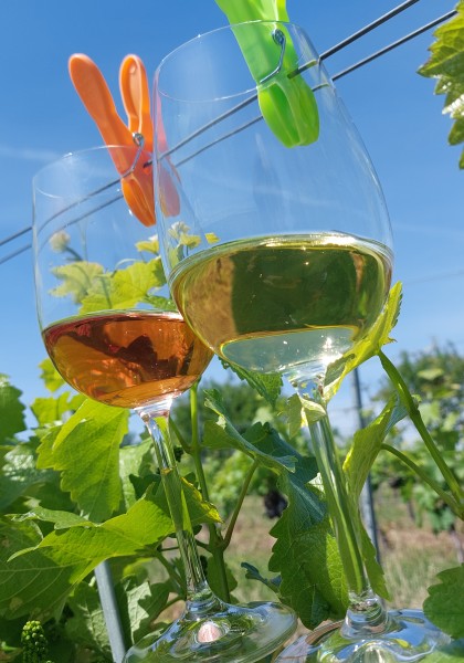 Crama Elite Wine